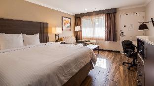 Best Western Plus Orange County Airport North Santa Ana